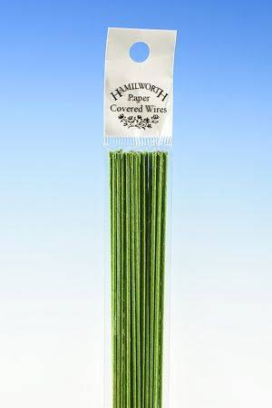 Aranžovací drát zelený 36cm 25ks č.20 - Hamilworth