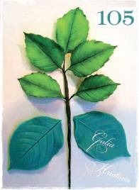 Silikonová forma žilkovač listy růží - Galias Moulds