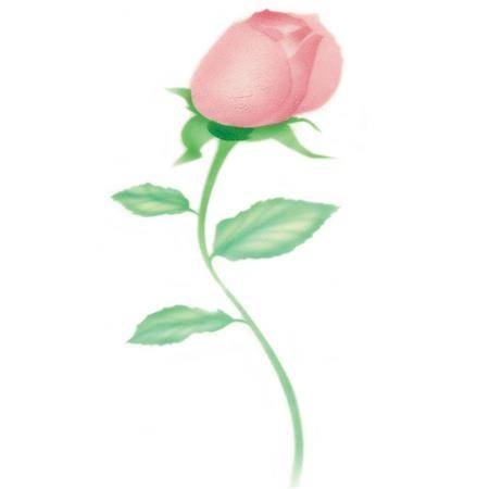 Stencil pro airbrush růže - Martellato
