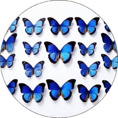 Jedlý papír modří motýli 19